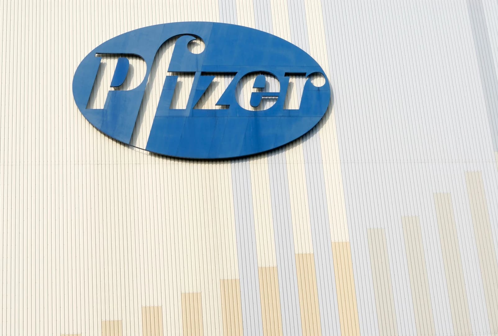 The Pfizer Files: This month's revelations