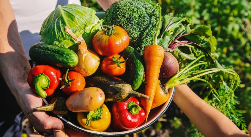 Let Food be Thy Medicine: The Importance of Growing Your Food